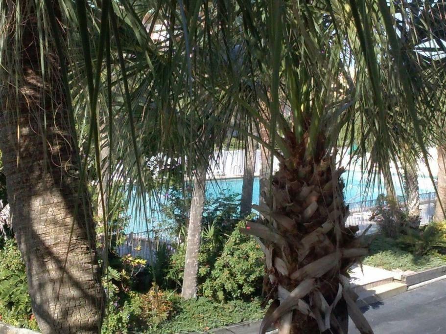 Apartament Beach Getaway III Clearwater Beach Zewnętrze zdjęcie